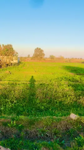 #لايك_متابعه_اكسبلور #مشاهير_تيك_توك 