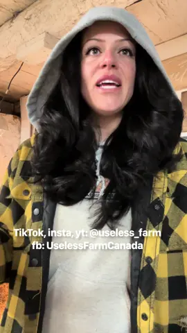 Watch the full job description video on yt or fb - my only account here is useless_farm ❤️