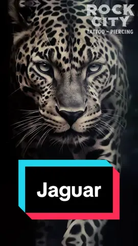 Un tatuaje de jaguar puede simbolizar fuerza, poder y agilidad, siendo considerado sagrado en culturas como la maya y azteca. También puede representar la conexión con lo espiritual y actuar como un amuleto de protección.    Sin embargo, el significado varía según las creencias individuales, y algunos eligen tatuajes por estética personal sin adherirse a significados culturales específicos. Antes de hacerlo, es útil investigar la cultura de interés o discutir intenciones con el tatuador para reflejar valores personales. #jaguar #jaguars #jaguartattoo #jaguartatuaje #jaguartatuajes #tattoojaguar #tatuajejaguar #tattoo #tatuajes #tattooartist #tattooideas 