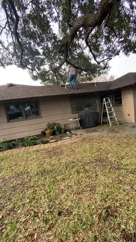 #foryoupage #yardero #lawncare #lawntiktok #parati #lawntok #lawn #fyp 
