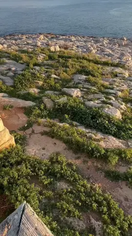 KultureKlassics  #houseclassics #oldschoolhousemusic 