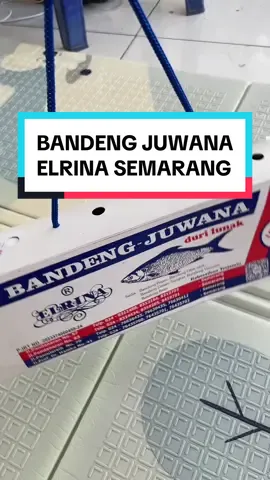 #bandeng #bandengjuwana #bandengelrina #semarang #bandengjuwanaelrina #fyp #oleholeh #bandengpresto 