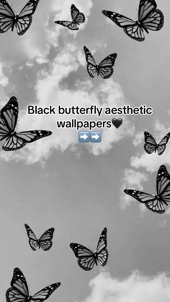 #wallpaper #cutewallpapers #aesthetics #wallpaperforyou #wallpaperlovers #fypシ゚viral #fyp#goviral #butterfly #wallpaperaesthetic 