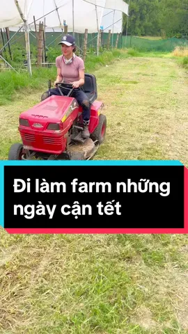Cô em nhà nông-Anh có chịu hông 😄🤣😂#nongnghiepuc #farmlife #farmtok #fypシ #cuocsongouc🇦🇺 #xh #nsw #raspberry 
