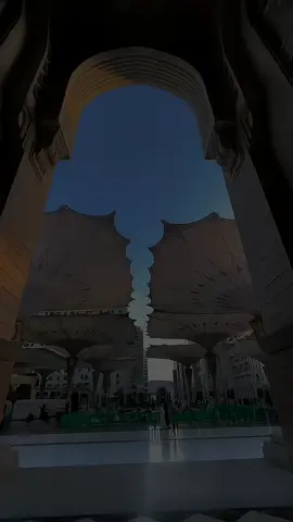 يا حلما ايقض اشواقي #إنشودتي🍁 #بدون_موسيقى 