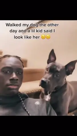 Here's your first class ticket 👆🏾 🎟️ 🔥🔥🔥🤣🤣🤣 ---- Follow me on #TikTok @michaeljonvier2; #Instagram, #SnapChat, #YouTube, #Twitter @michaeljonvier —- #MichaelJonvier #heymikeyatl #fyp #foryourpage #explore  #explorepage #reaction #reactionvideo #mediapersonality #TikToker #YouTuber #duet   #reelsinstagram #facebookreels #funny #funnyvideos #funnyreels #hell #dogs #dogsofinstagram #dogstagram #pets #petstagram #petsofinstagram #dogreels