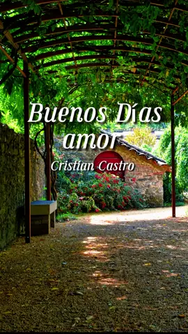Buenos días amor - Cristian Castro #musicaparati #exitosinolvidables #musicaromanticas #baladaspararecordar 