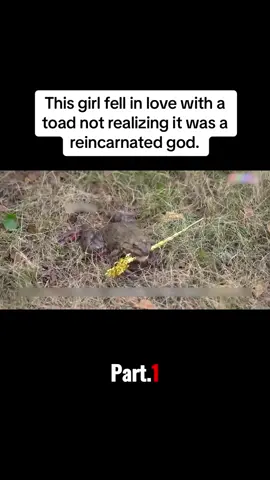This girl fell in love with a toad not realizing it was a reincarnated god.#film #movie 