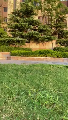 Kids Golf Mini Family Outdoor Indoor Training Set Clubs with Wheels 3 Golf Clubs 3 Balls Parent-Child Interactive Sports#iq#iqeducationaltoysstore #toysstoremyanmar #iqtoysstore #funnyvideos 