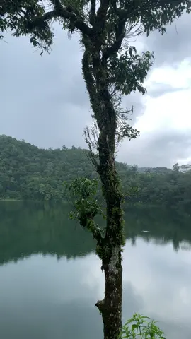 The natural beauty in Flores Manggarai #nttpride🏝🔥 #manggarai_flores_ntt #januari2023 