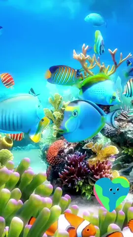 歌名: #我是一只鱼 歌手: #任贤齐 #音乐分享 