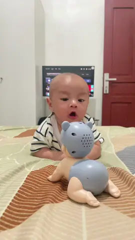 seneng banget ya nakkk masyaAllah 🤩🥰🤍 #fyp #tummytime #mainanbayi3bulan #mainantummytime #babyboy #mainanbayiviral #robotbayimerangkak 