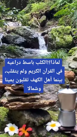 #سورةالكهف #الامورالاعجازية #foryou #perte #اكسبلورexplore #صلو_على_رسول_الله_صل_الله_عليه_وسلم @adnaniaعدنانية @adnaniaعدنانية @adnaniaعدنانية 
