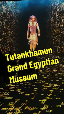 Grand Egyptian museum with Tutankhamun Experience🇪🇬 #fyp> #fyp #foryourpage #f #egypt #grandegyptianmuseum #doaagizawe #tutankhamun #tutankhmamun #cometoegypt #come_to_egypt #tutankamon #tutankhamun  #grandegyptianmuseum #cometoegypt #fyp 