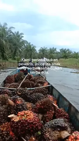 #perintisbukanpewaris  #kelapasawit 