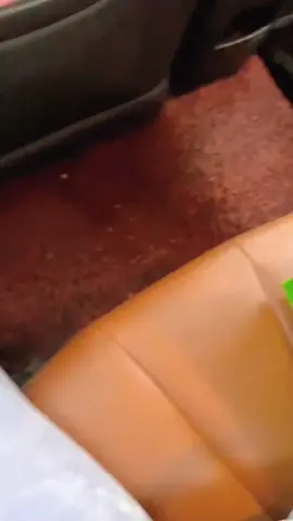 #funnyvideos #funnyanimals #dogsoftiktok #lovedog #fyp #foryou 