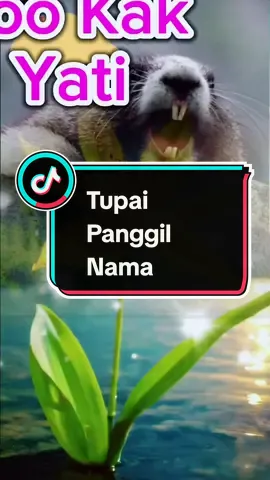Mana kak Yati ni Text, nama, sound boleh edit #tupaipanggilnama #tupaicomel #soundtupai #viralvideo #CapCut @Puteri Qaseh Marissa @MexMoney @DEKFIQ88🥰🥰 @Puteri Qaseh Marissa 2 