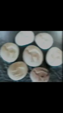 #صفر_واحد_3بعشره😅✌🏿 #الشعب_الصيني_ماله_حل😂😂 #حبوب #كبسة #عود_عراقي #الاردن #السعودية #الرياض #ابوني_ياك_باطل_ولا_حنا_مانستاهلوش #العراق #رقص #حزين #تصميمي #كسبلور #صفر_واحد_3بعشره😅✌🏿 