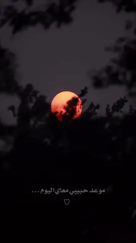مليت أسآمر قمر ونجوم ..                                           #اكسبلور #اكسبلورexplore #اكسبلوررررر #ترند_تيك_توك #ياشمس_قومي_ذبحك_النوم #fyp#fypシ #شعر #قصات_شعر #شيلات #شيلة #تصميمي #الليل #الرياض #CapCut 