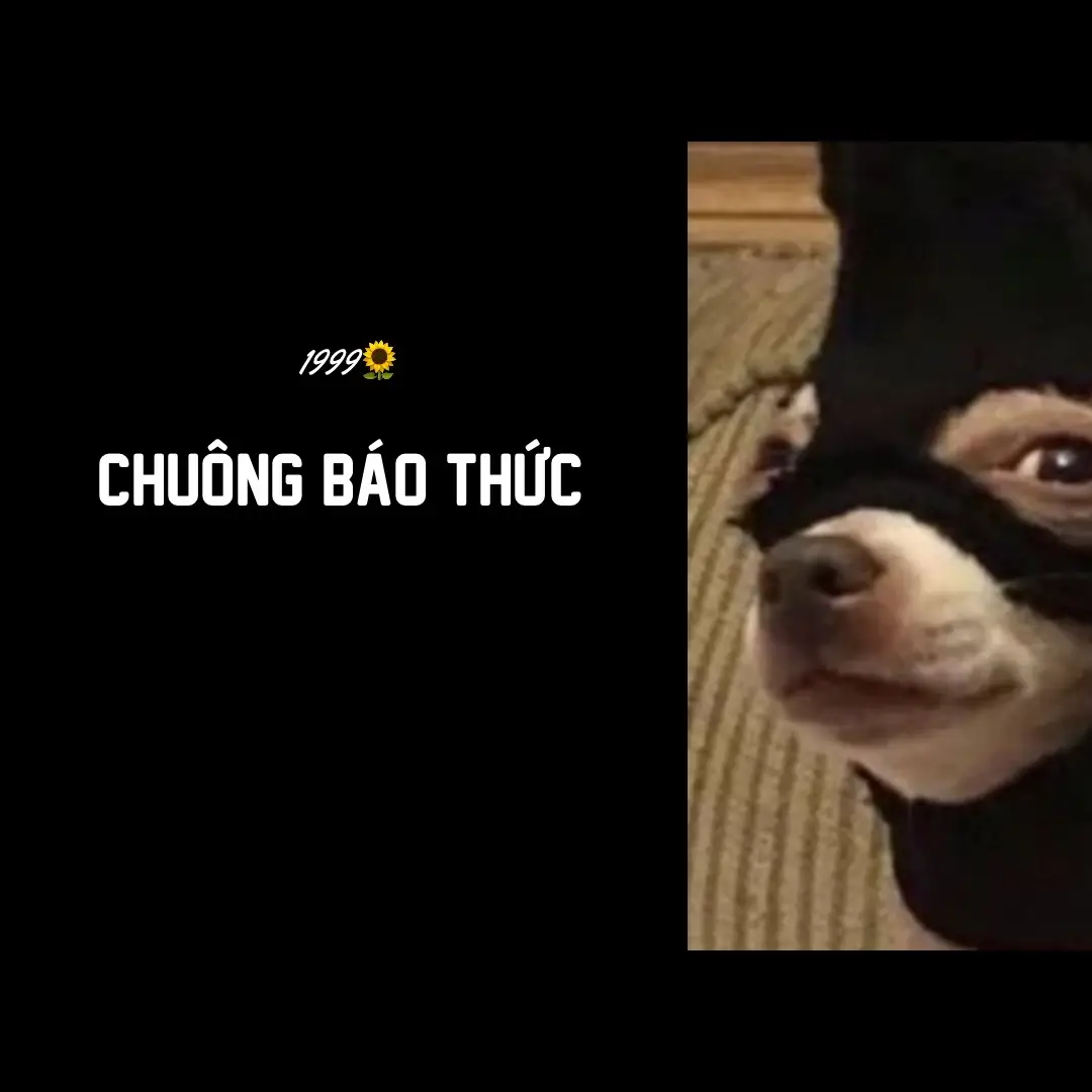 #1999🌻 #lthmusic1610 #nhachaymoingay #nhacchuong #baothuc #haihuocvuinhon #chuongbaothucdocla 