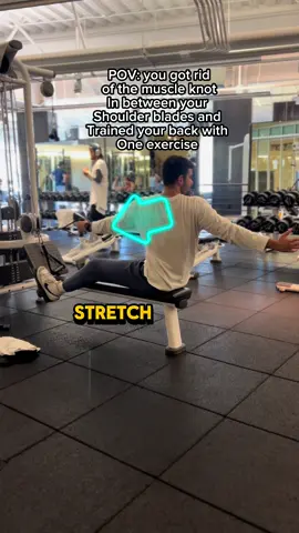 The beauty of exercise lies in its versatility; a single movement can have multiple benefits.  In this instance, I've adapted my single-arm cable exercise to simultaneously stretch my thoracic spine (mid-back) through rotation.  When the screen displays 