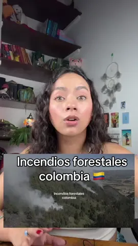 🔥🔥🌳Colombia se está incendiando ☠️ 🚨Hay al menos 34 incendios forestales en diversas partes del país y más de la mitad de Colombia está en alerta roja por incendios  💔Las pérdidas son invaluables, miles de hectáreas de ecosistemas estratégicos como los Páramos 🥺 (que se tardarán hasta 50 años en restaurar lo perdido) 🌎🔥Si el cambio climático tiene su parte de responsabilidad, pero no nos olvidemos que acá mas del 90% de los incendios forestales son provocados 🔥👿 Por eso debemos:  ❌hacer fogatas, arrojar basura, materiales inflamables, colillas de cigarrillos  ✅ avisar lo antes posible a las líneas de emergencia cuando veas un foco de incendio ❤️‍🩹Entidades u Organizaciones que están recibiendo donaciones para atender la crisis:  @cruzrojacol @cruzrojabogota @mascompostmenosbasura @cumbresblancascolombia