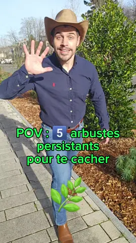 POV : 5️⃣ arbustes PERSISTANTS pour te cacher 🌿✅️👍 #arbuste #persistant #haie #simple #efficace #idee #conseils #jardin #maison #nature #france 