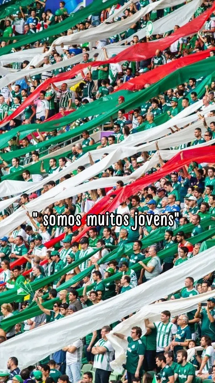 #trending #njs_corbacho #fypシ #salvador #palmeiras #anavitoria 