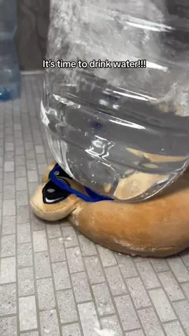 Water is life! ✌️💦🌊💧 #pou