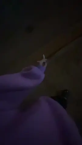 وين انت واني وين احنا بكل شي مختلفين#fyp #foryou #viral #اكسبلور 