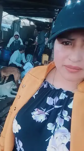 siempre juntos mis hermanos leerles full 🙏💪