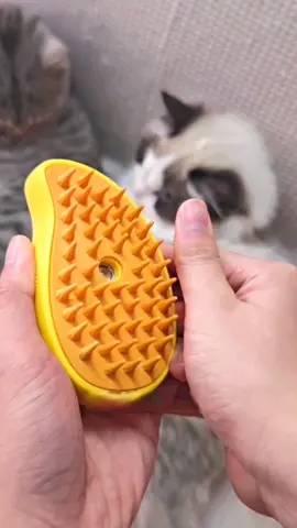 Pet comb!#fyp #cat #foryou #foryoupage #top #tiktok 