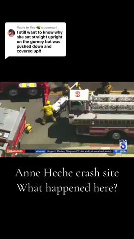 Replying to @Bee 🐝  Here is the footage everyone is referring to.  What are your thoughts?  