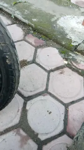 cek ban depan dulu🙏🤭