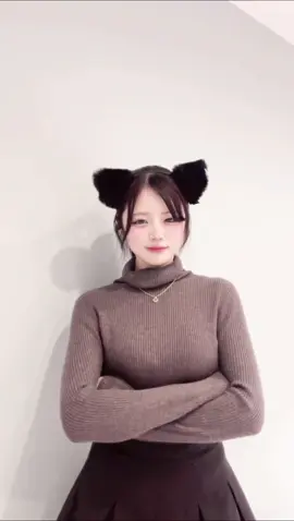 リクエストの猫ミーム🐈‍⬛ 配信へ遊びに来てね🐈‍⬛ #おすすめ #fypシ #fyp #猫ミーム 