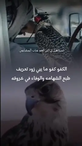 @🇸🇦عذب المشاعر 🇸🇦 #اكسبلورexplore #شيلات #الكفو #مدح #مطير_حمران_النواظر #صباح_الخير 