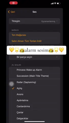 Her sabah disney fimlerinde gibi uyanmak isterseniz🤭✨💛 #keşfet #viral #fyp #kesfetteyiz #daily #fypシ #alarm #princess #disney #disneyprincess 