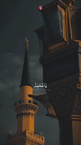 Therapy 🎧❤️‍🩹😭. . . #molahussain #ziarat #yamuhammad #yaali #ziaratehussain #zikrehussain #ahlebait #imamhussain #abbasalamdarع #yaghazi #yaabbas #karbala #zawar #yahussain #cry #Love #peace #sherazistics2 