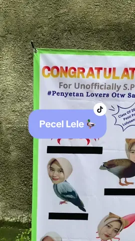 order x banner here ❕‼️ bebas req sesuai keinginanmu ya🤗 #rekomendasibannerskripsi #bannerwisuda #desainbannerestetik #sidangskripsi #desainbannerpecelelel #tipssidangskripsi #bannermurahcepatsiap 