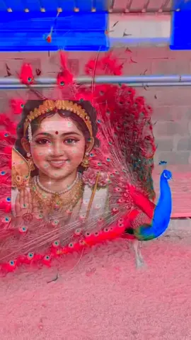 #CapCut #Maruthamala sathiyama song #murugan hit song #Pushpavanam kuppusamy hit murugan song tamil #Pushpavanam kuppusamy song #murugan bakthi padal Murugan hit song #trending murugan song #Viral murugan song #murugan trending song in tiktok #Murugan divine song