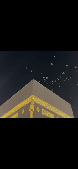 #islam #allah #masjid #ghali #warigi #pashtoon #抖音创作者大会 #抖音爸爸別限我流 #抖音短視頻 #抖音小助手 