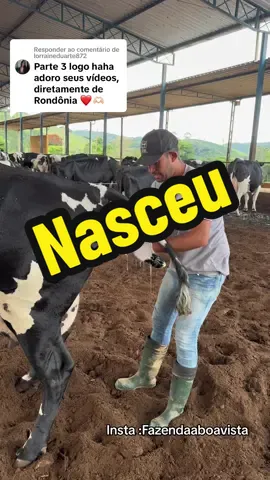 Respondendo a @lorraineduarte872  Nasceu 🐄❤️