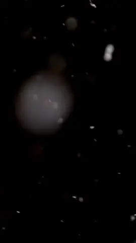 cơn mưa của tuổi trẻ rồi cũng đến lúc sẽ phải tạnh😌#k129 #hoacuong #xuhuong #thanhphocuanhungcaycau 