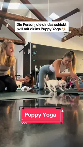 War so cute mir den kleinen Labrador Welpen! 😍 @Puppy Yoga Deutschland #puppyyoga 