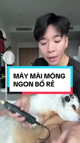 Máy mài móng ngon bổ rẻ cho các sen đây #itsbennguyen #viral #fyp #fypage #trending #explorepage #PetsOfTikTok #dogsofttiktok #xuhuong2023 #xuhuong #fypシ #おすすめ #chowchow #corgi #xyzbca #LearnOnTikTok 