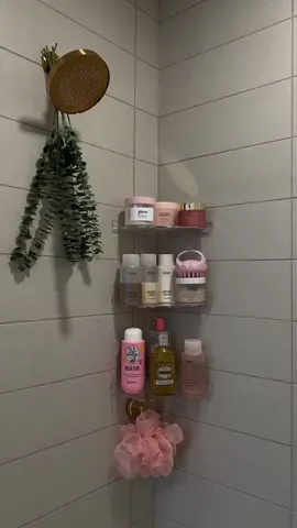 moving diaries: setting up my shower 🎀🚿🧖🏽‍♀️ #fyp #aesthetic #girly #girlyshower #showerroutine #beauty #girlyaesthetic #pinkaesthetic #pinterestaesthetic #pinterestinspo #coquetteaesthetic #showerorganization #bathroomdecor #bathroomorganization #organization 