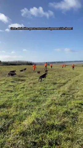 #chasseresse #chasse #chassepassion #jeunechasseresse #chasseur #chasseurfrancais #adrenaline #jeunechasseur #chassetricolore #chiensurtiktok #beagles #chiencourant #chiens #beaglesoftiktok #passion #foryou #pourtoi #sanglier #chasseauchiencourant #bretagne 