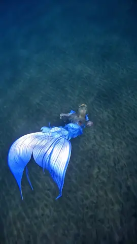 🍭😈 When she goes from sweet to siren… #mermaid #mermaidtail #merpeople #mertok #mermaidtiktok #siren #sirencore #sirenvibes #transformation #dark @Sky | Underwater Photographer 