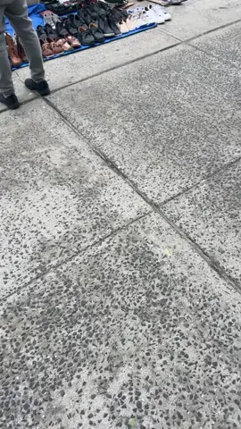 #Nyc #Tweakseason #Fyp 