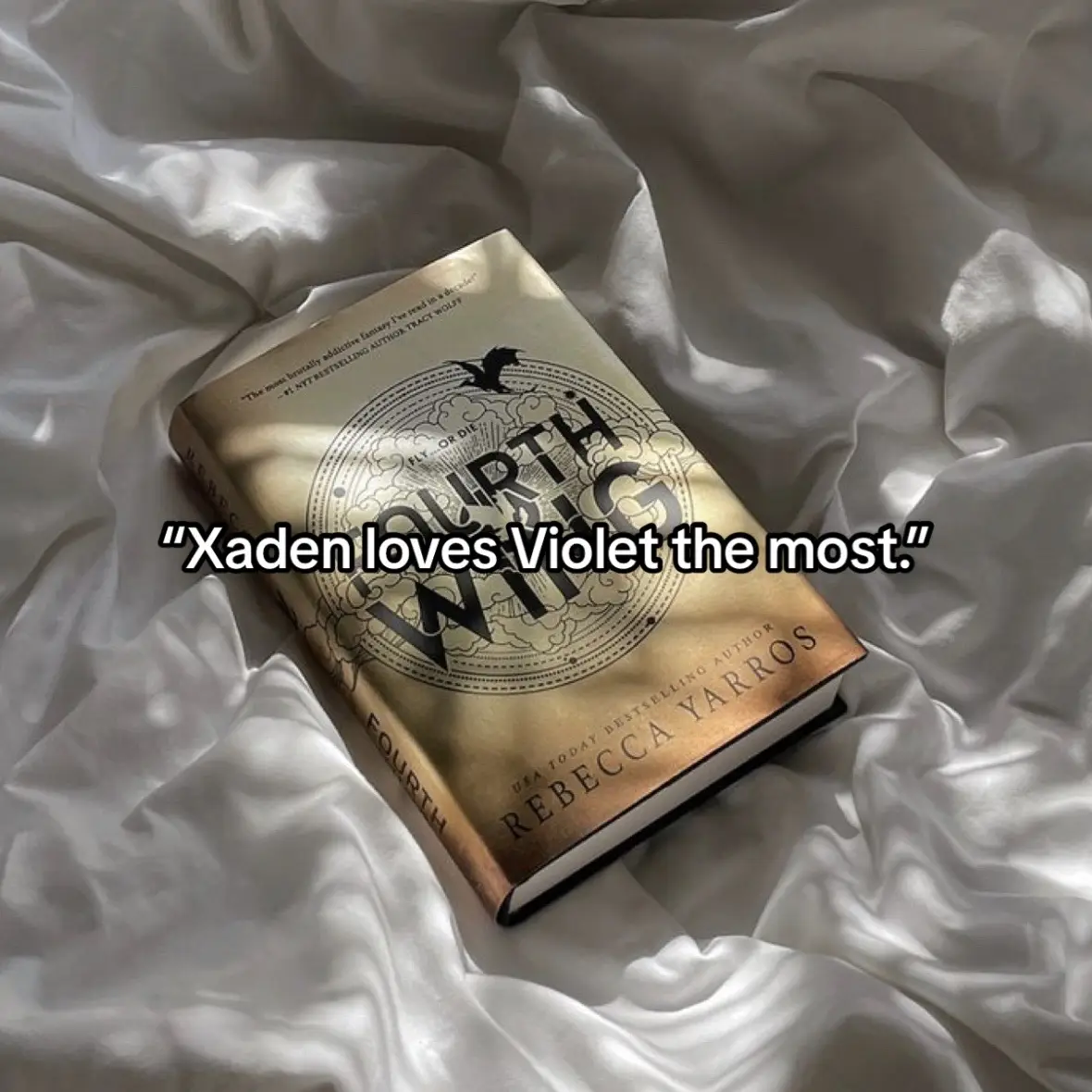#fourthwing #BookTok #fantasybooks #tairn #violetsorrengail 